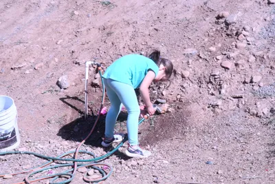 DSC_1150 (Large).JPG